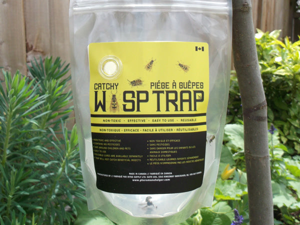 Wasp Trap